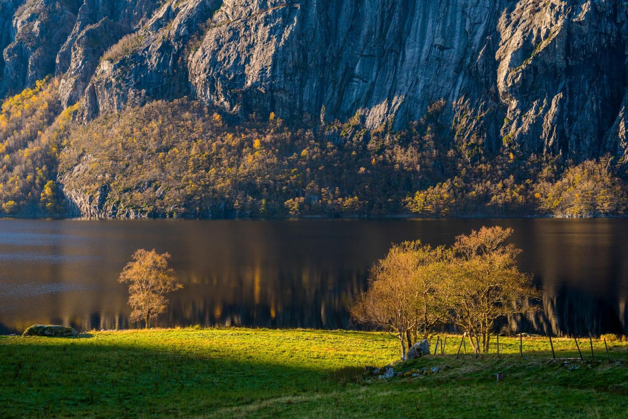 Hytte Ved Preikestolen Forsand Bagian luar foto