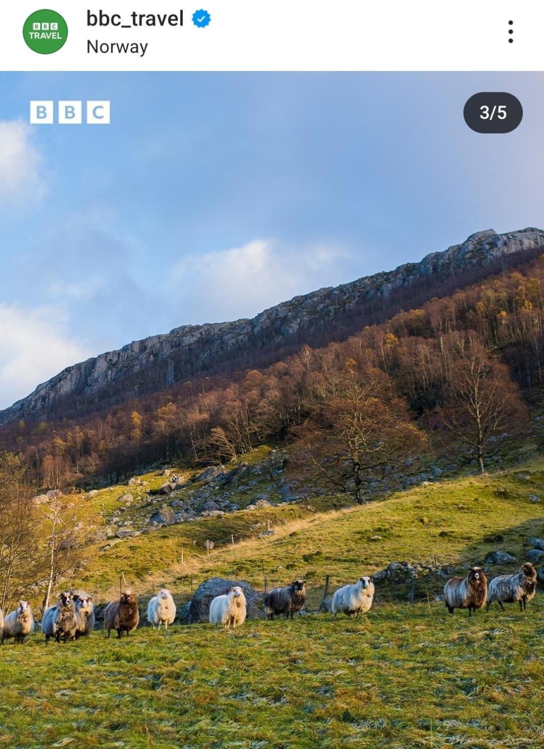 Hytte Ved Preikestolen Forsand Bagian luar foto